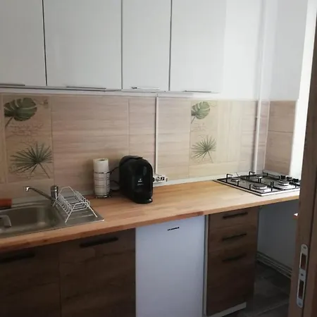 Apartment Studio Giulia Brasov